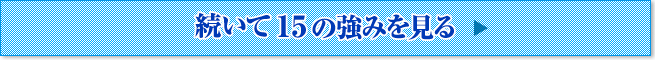 続いて15の強みを見る